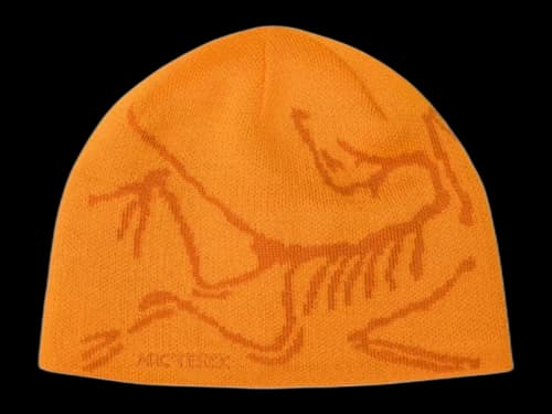 Arc'teryx Bird Head Toque Beanie (FW25) Blaze/Copper Sky