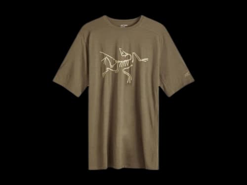 Arc'teryx Ionia Merino Wool Logo T-Shirt Tatsu/Canvas