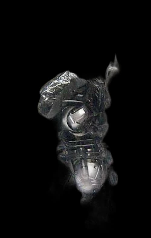 Bandai America Godzilla Super Festival Exclusive Mechagodzilla Exclusive Vinyl Figure