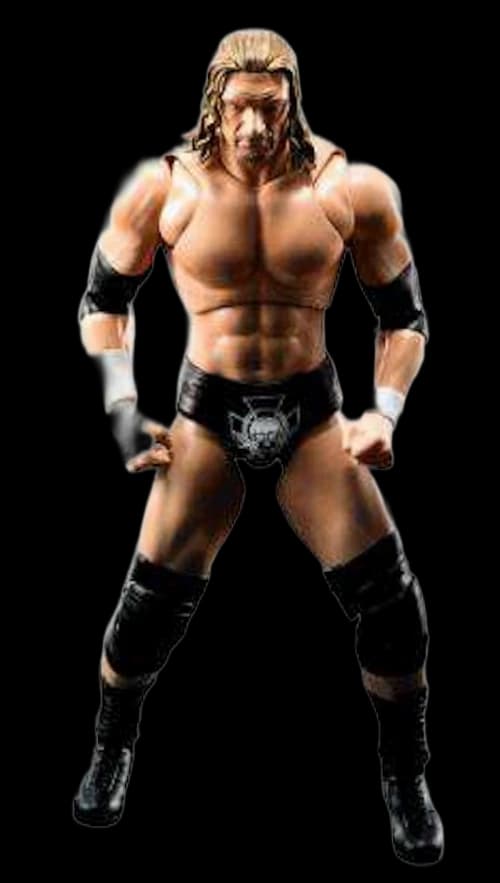 Bandai Japan WWE Wrestling S.H. Figuarts Triple H Action Figure