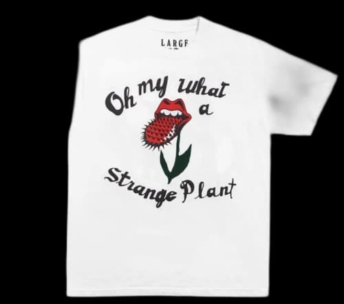 Cactus Plant Flea Market Rolling Stones Strange Plant T-Shirt White