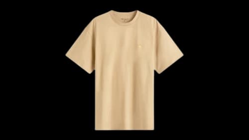 Carhartt WIP Chase T-shirt Dusty Hamilton Brown/Gold