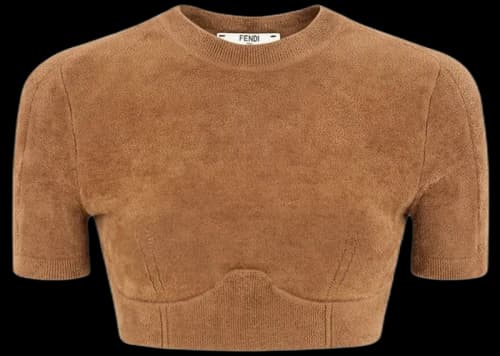 Fendi x SKIMS Velvet Knit Crop Top California