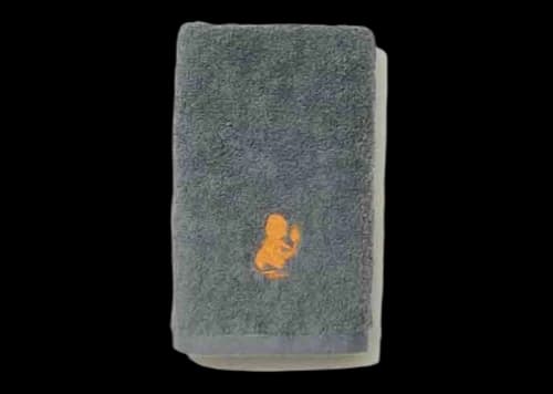 Fragment x Pokemon Thunderbolt Project Charmander Face Towel