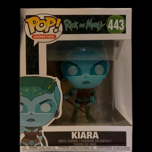 Funko Pop! Animation Rick and Morty Kiara Figure #443