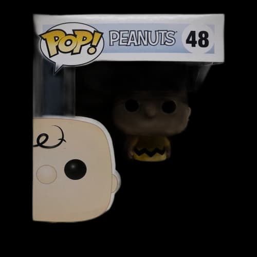 Funko Pop! Peanuts Charlie Brown Figure #48