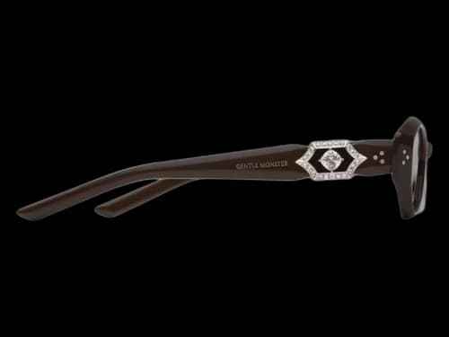 Gentle Monster Vegax BR3 Sunglasses Brown/Brown