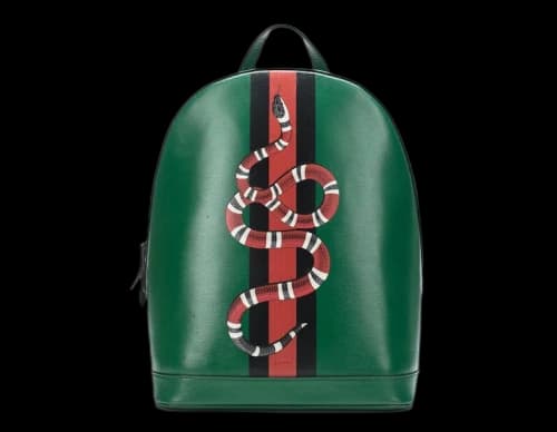Gucci Backpack Web Kingsnake Print Green