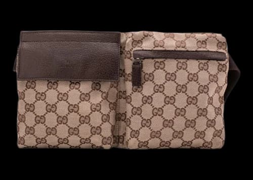 Gucci Waist Bag GG Canvas Brown