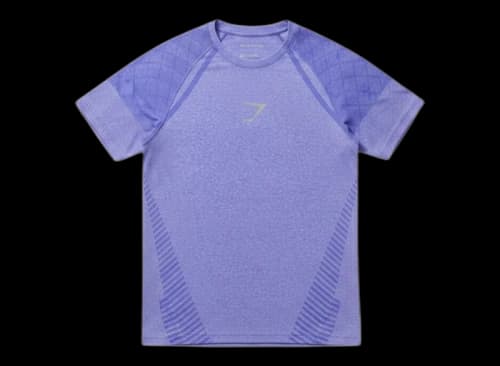Gymshark Devant Seamless Slim Fit T-shirt Amethyst