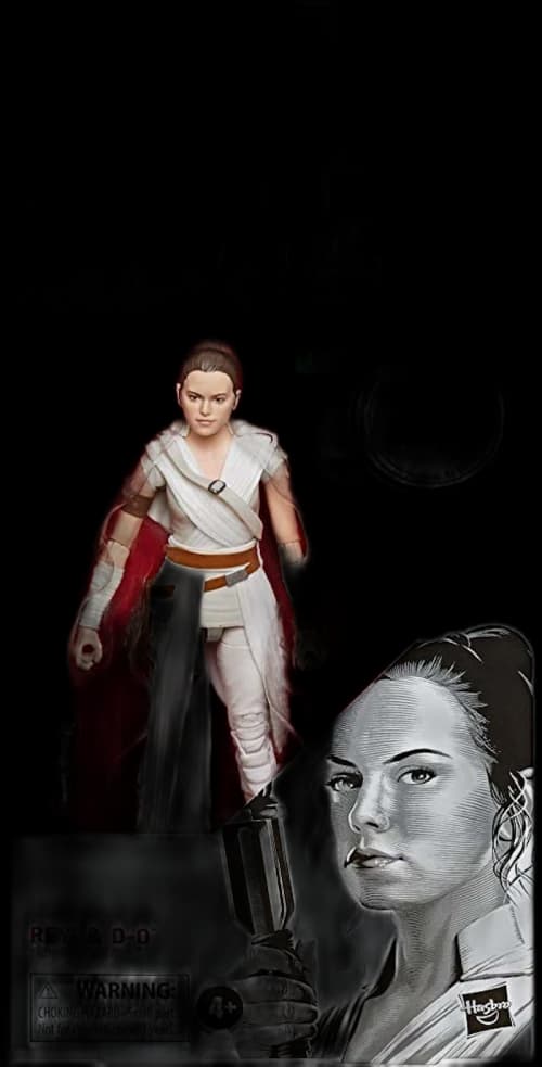 Hasbro Star Wars The Black Series Rey & D-0 First Edition Action Figure