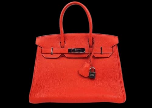 Hermes Birkin Togo Palladium-tone 30 Capucine Orange
