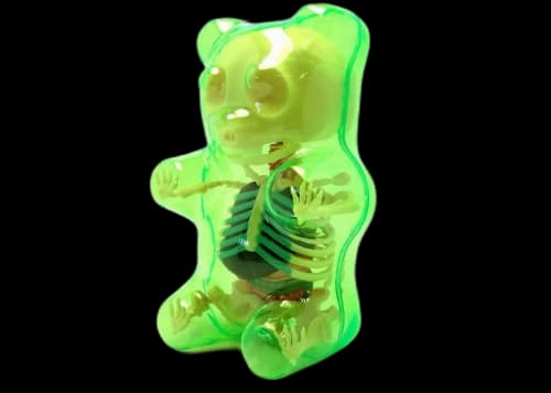 Jason Freeny 4D Master Baby Funny Anatomy Gummy Bear Figure Clear Green