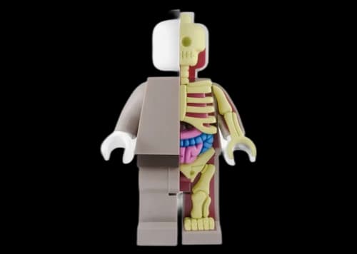 Jason Freeny Mighty Jaxx Bigger Micro Anatomic Original Red Figure