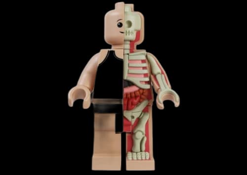Jason Freeny Mighty Jaxx Bigger Micro Anatomic Schematic Figure
