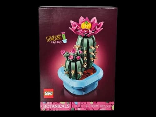 LEGO Botanicals Flowering Cactus Set 11509