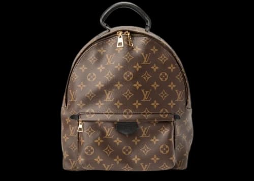 Louis Vuitton Palm Springs Monogram MM Brown