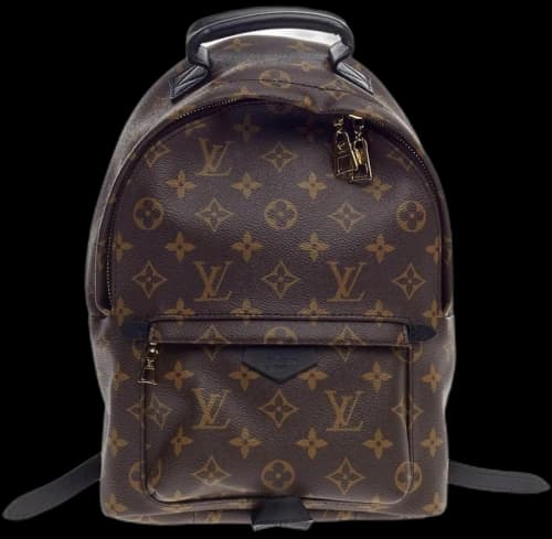 Louis Vuitton Palm Springs Monogram PM Brown