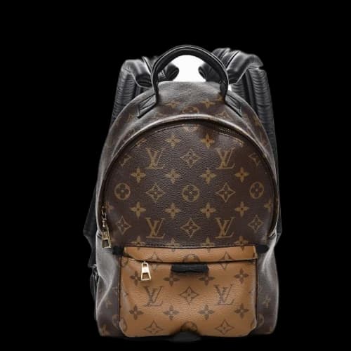 Louis Vuitton Backpack Palm Springs Monogram Reverse PM Brown