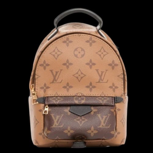 Louis Vuitton Palm Springs Reverse Monogram Mini Brown