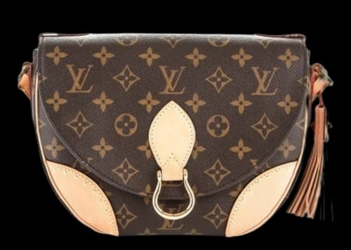 Louis Vuitton Saint Cloud NM Monogram Brown