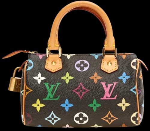 Louis Vuitton x Takashi Murakami Speedy HL Monogram Mini Black Multicolor