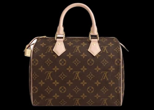 Louis Vuitton Speedy Monogram 25 Brown