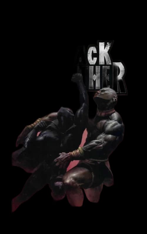 Marvel Black Panther (2005 Marvel 3rd Series) #2 Comic Book CGC Graded