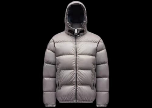 Moncler x 1017 ALYX 9SM Almondy Down Jacket Shiny Grey