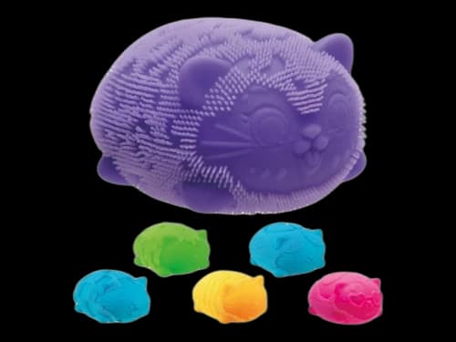 NeeDoh Wild Cats Squishy Fidget Toy Set of 5 Pink/ Orange/ Blue/ Green/ Purple
