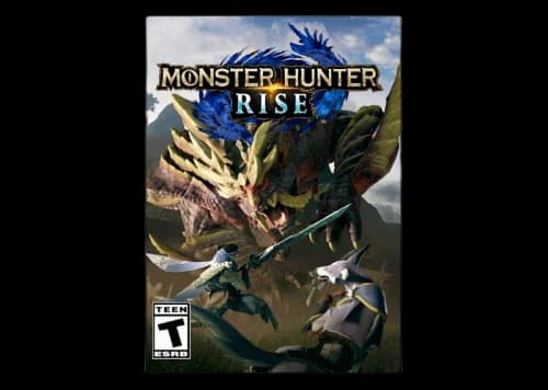 Nintendo Monster Hunter Rise Standard Edition Video Game