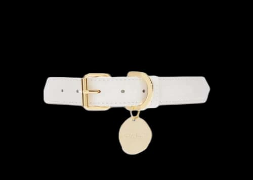 OFF-WHITE Logo-Charm Dog Collar White