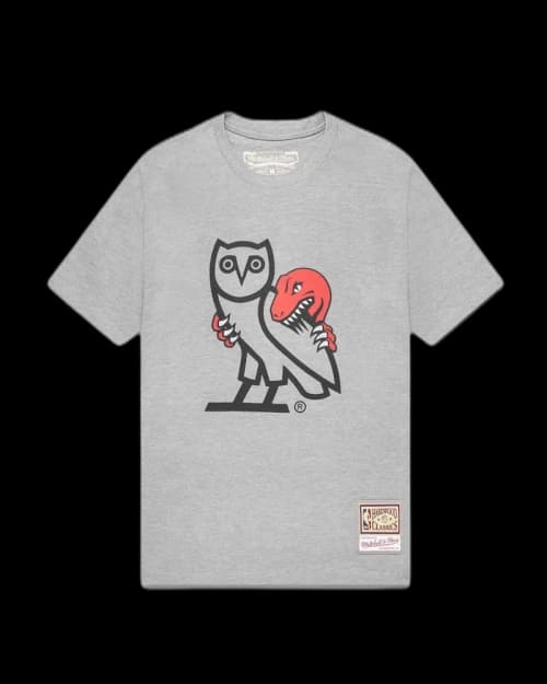 OVO Mitchell And Ness '95 Raptors OG Owl T-Shirt Heather Grey