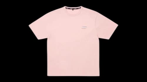 Palace Basically A T-Shirt (FW25) Lush Flush