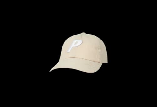 Palace Biowashed 3D P 6-Panel Stone (FW22)
