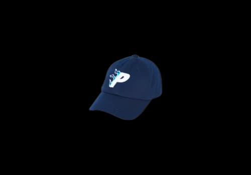 Palace Flaming P 6-Panel Navy