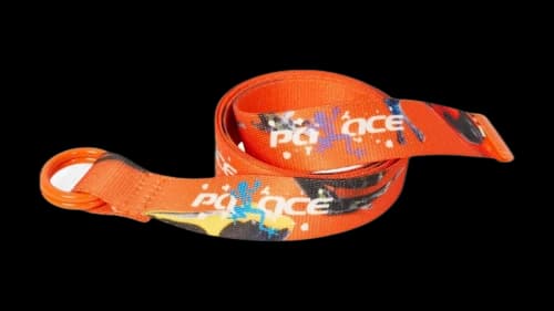 Palace Frogger Belt Orange/Multicolor