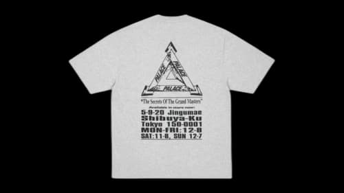 Palace Grand Master T-shirt (FW25) Grey Marl