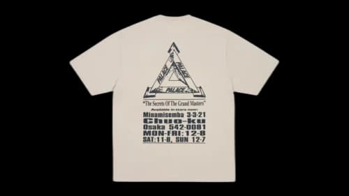 Palace Grand Master T-shirt (FW25) Stoney Grey