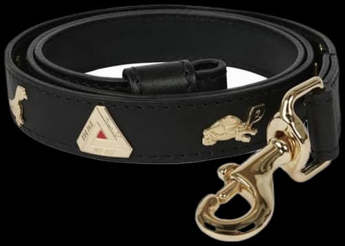 Palace Metalico Dog Lead Black