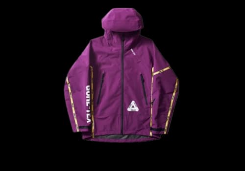 Palace Palex Gore-Tex Jacket Purple
