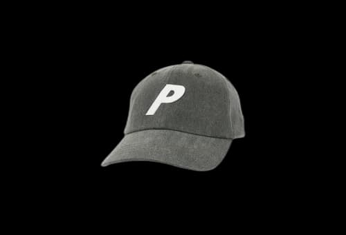 Palace Pigment P 6-Panel Grey (SS22)