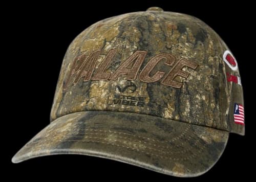 Palace Washed Realtree 6-Panel Timber