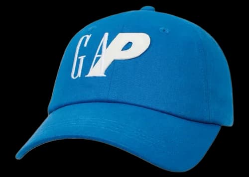 Palace x Gap 6-Panel Blue