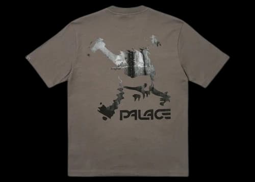 Palace x Oakley T-Shirt Grey