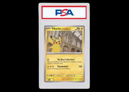 Pikachu at the Museum Pokémon Natural History Museum Promo (Jumbo) (PSA or BGS Graded)