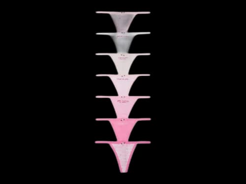 PINK x LoveShackFancy 7-Pack V-String Panties Rules Of Pink