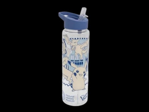 Pokemon x Natural History Museum Pikachu and Friends Water Bottle