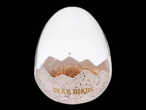 Pop Mart Dear Birds Series Flush Display Box