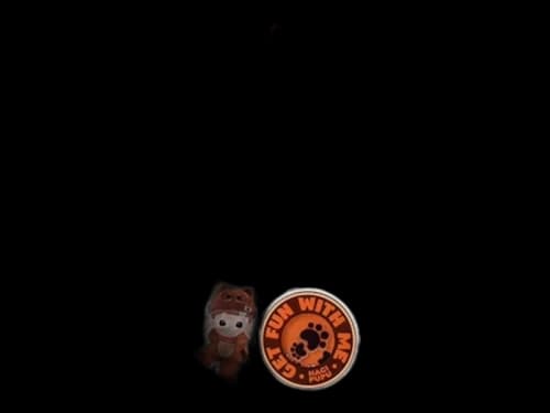 Pop Mart HACIPUPU Adventures In The Woods Series Little Raccoon Pendant